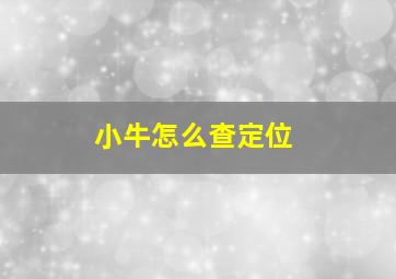 小牛怎么查定位