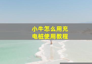 小牛怎么用充电桩使用教程