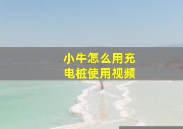 小牛怎么用充电桩使用视频