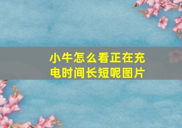 小牛怎么看正在充电时间长短呢图片