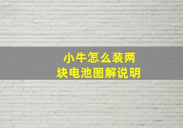 小牛怎么装两块电池图解说明