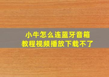 小牛怎么连蓝牙音箱教程视频播放下载不了