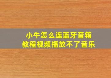 小牛怎么连蓝牙音箱教程视频播放不了音乐