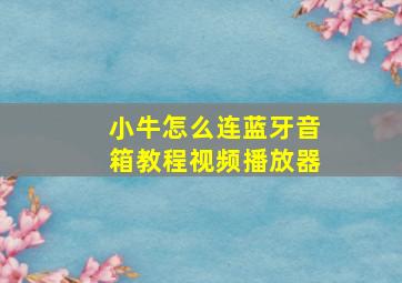 小牛怎么连蓝牙音箱教程视频播放器