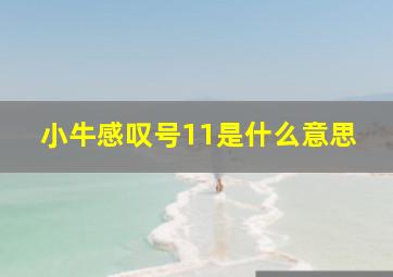 小牛感叹号11是什么意思