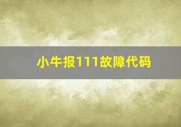 小牛报111故障代码