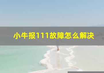 小牛报111故障怎么解决