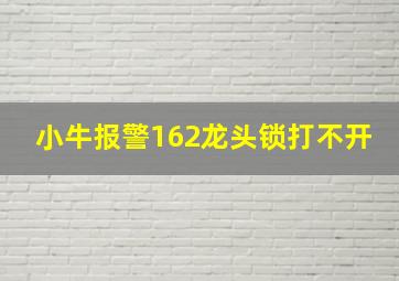 小牛报警162龙头锁打不开