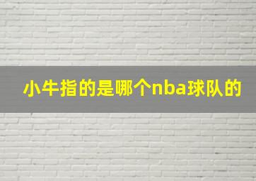 小牛指的是哪个nba球队的