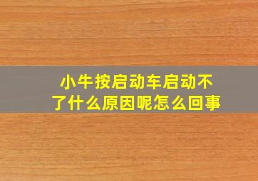 小牛按启动车启动不了什么原因呢怎么回事