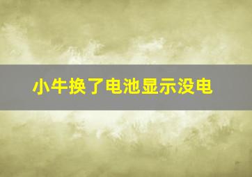 小牛换了电池显示没电