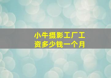 小牛摄影工厂工资多少钱一个月