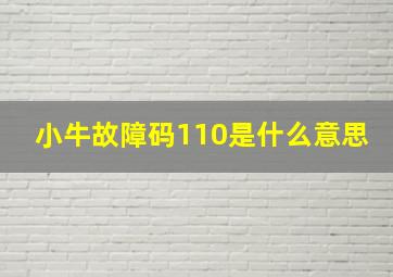 小牛故障码110是什么意思