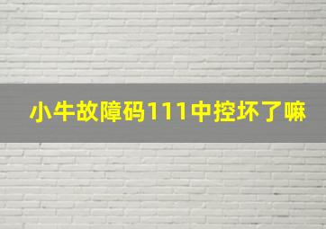 小牛故障码111中控坏了嘛