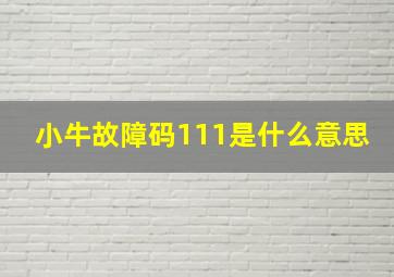 小牛故障码111是什么意思