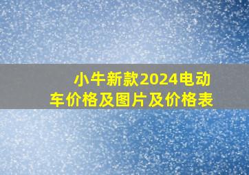 小牛新款2024电动车价格及图片及价格表