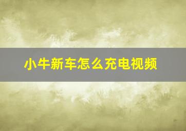 小牛新车怎么充电视频