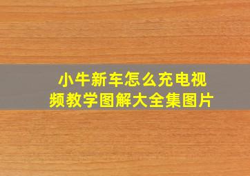 小牛新车怎么充电视频教学图解大全集图片