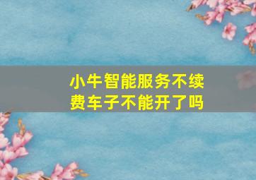 小牛智能服务不续费车子不能开了吗