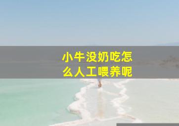 小牛没奶吃怎么人工喂养呢