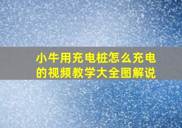 小牛用充电桩怎么充电的视频教学大全图解说