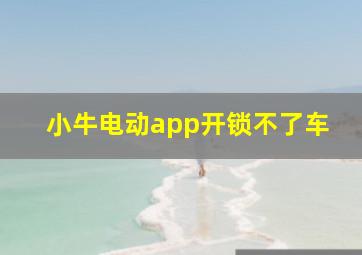 小牛电动app开锁不了车