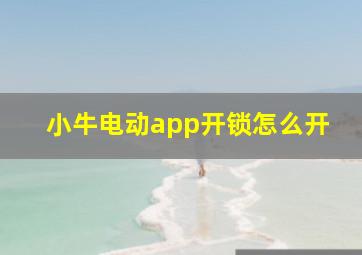 小牛电动app开锁怎么开