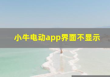 小牛电动app界面不显示