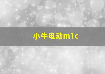 小牛电动m1c