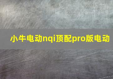 小牛电动nqi顶配pro版电动