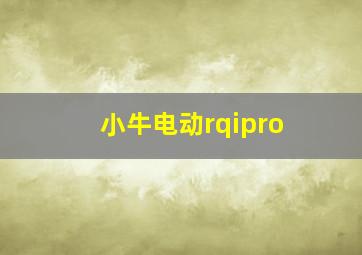 小牛电动rqipro