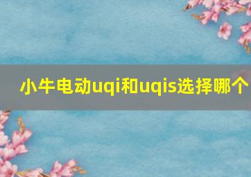 小牛电动uqi和uqis选择哪个