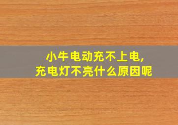 小牛电动充不上电,充电灯不亮什么原因呢