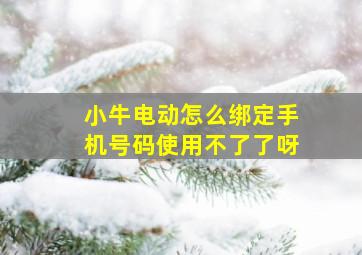 小牛电动怎么绑定手机号码使用不了了呀