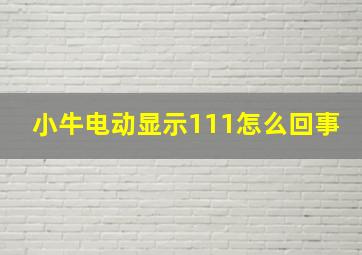 小牛电动显示111怎么回事