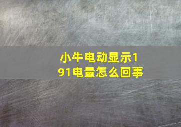 小牛电动显示191电量怎么回事