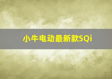 小牛电动最新款SQi