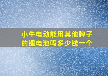 小牛电动能用其他牌子的锂电池吗多少钱一个