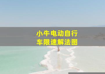 小牛电动自行车限速解法图