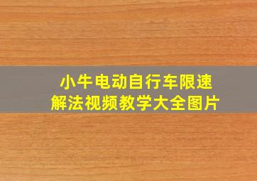 小牛电动自行车限速解法视频教学大全图片