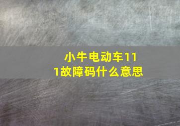 小牛电动车111故障码什么意思