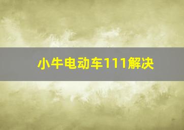 小牛电动车111解决