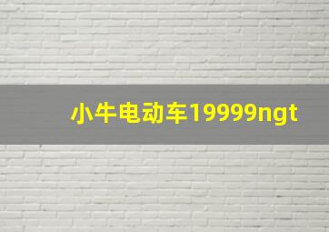 小牛电动车19999ngt