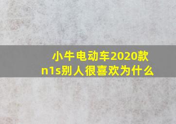 小牛电动车2020款n1s别人很喜欢为什么