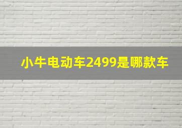 小牛电动车2499是哪款车