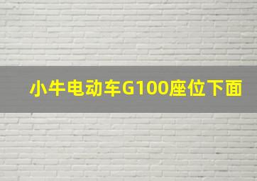 小牛电动车G100座位下面