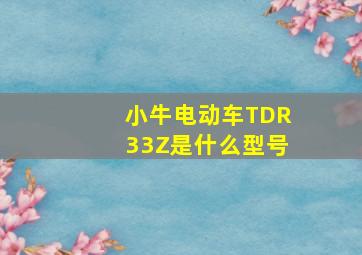 小牛电动车TDR33Z是什么型号