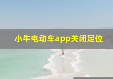 小牛电动车app关闭定位