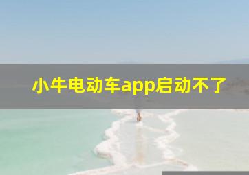 小牛电动车app启动不了