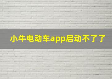 小牛电动车app启动不了了